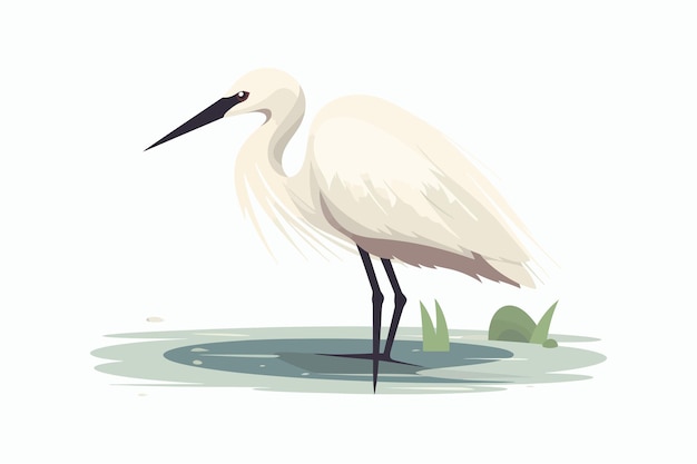 Vector little egret profile aquatic african bird with white plumage long beak isolated on white background vector cartoon illustration