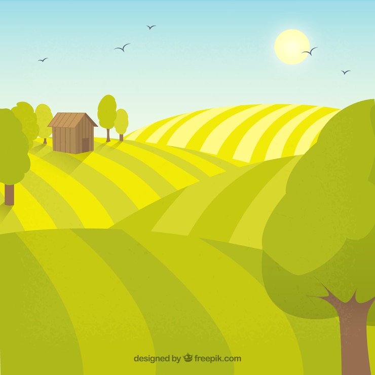 Vector little farm in the countryside