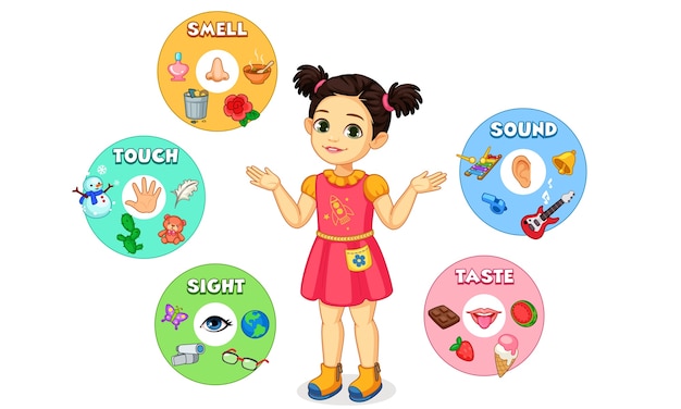 Vector little girl showing five senses chart illustration