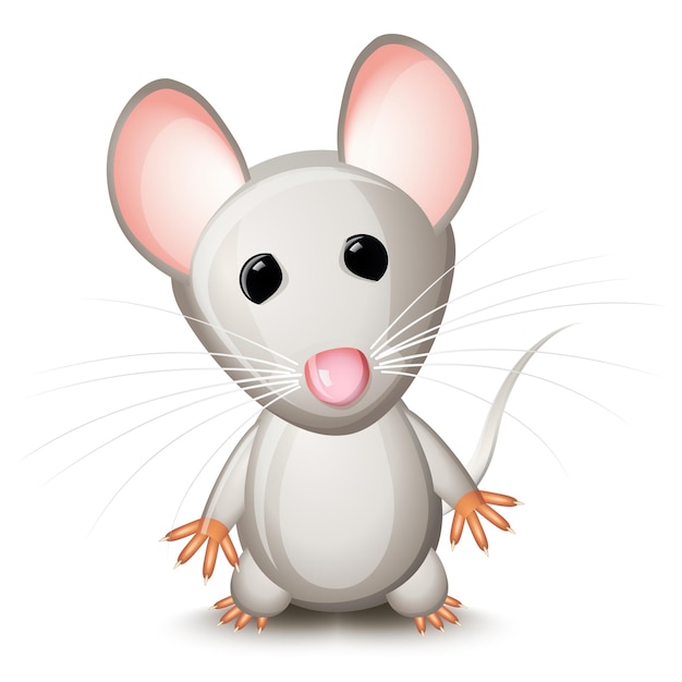 Little gray mouse isolated on white background