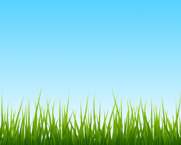 Vector little green grass, blue sky seamless background