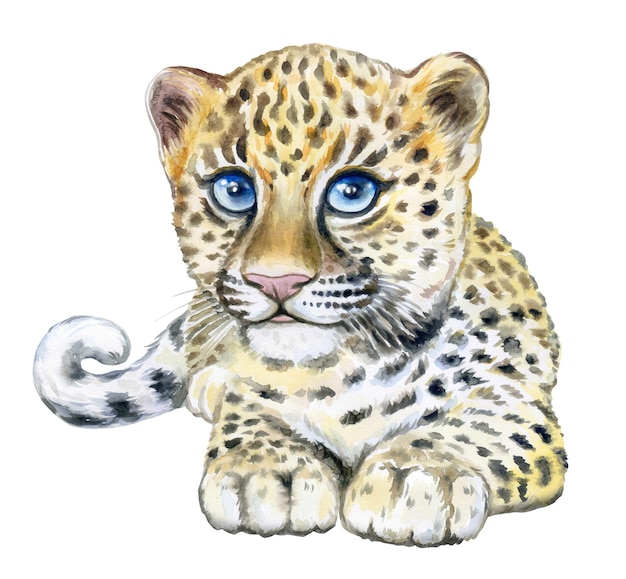 Piccolo leopardo