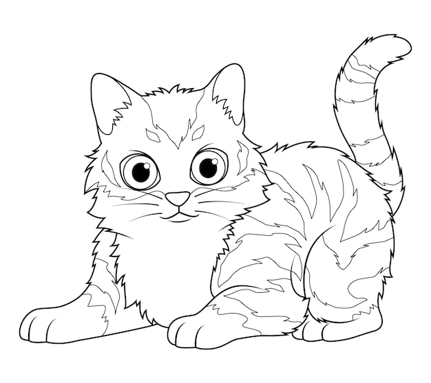 Vector little maine coon cat cartoon animal illustration bw