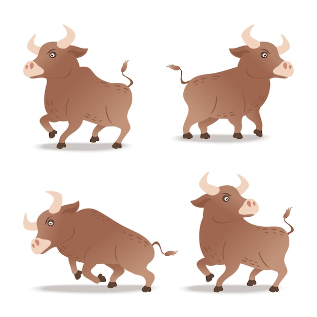 Little ox or bull illustration