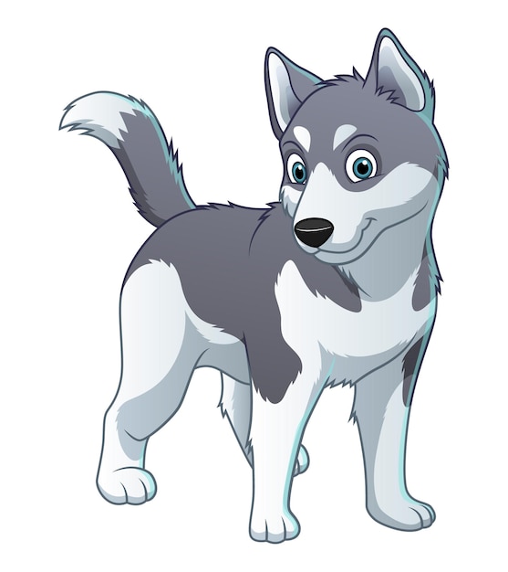 Little siberian husky dog cartoon animal illustration