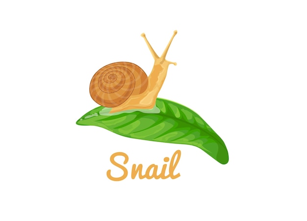 화장품 스킨 케어 제품 또는 식품에 대한 잎 그림에 작은 달팽이