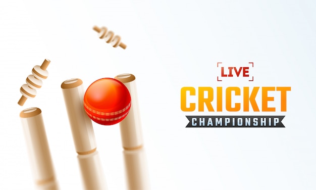 Live cricket kampioenschap posterontwerp