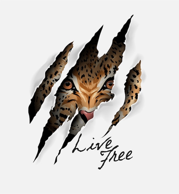 Vector live free slogan with leopard face in claw mark illustration