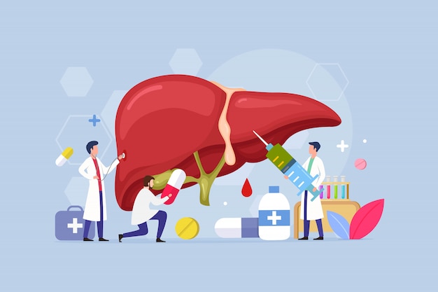 Vector liver disease treatment design concept with tiny people