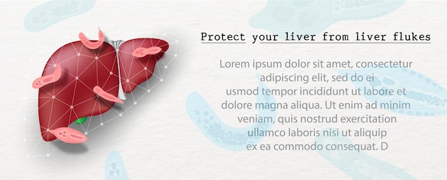 Liver flukes on Human liver protected by net and example texts on liver flukes background