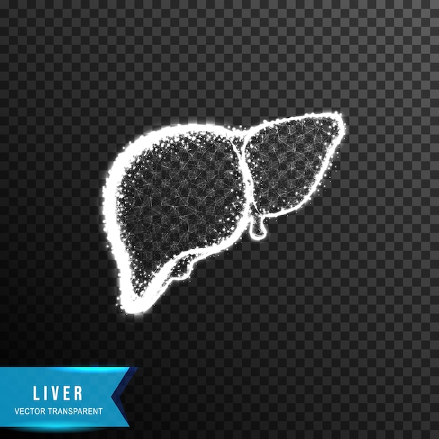 透明な背景に分離された点と線の光の効果のベクトル図を接続することから肝臓