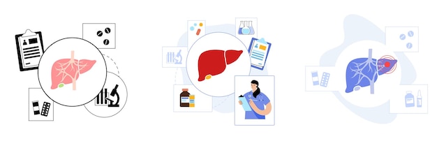 Liver in the human body digestive system diseases concept examination of internal organs vector