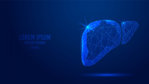 Liver human organ geometric lines, low polygon triangles style wireframe