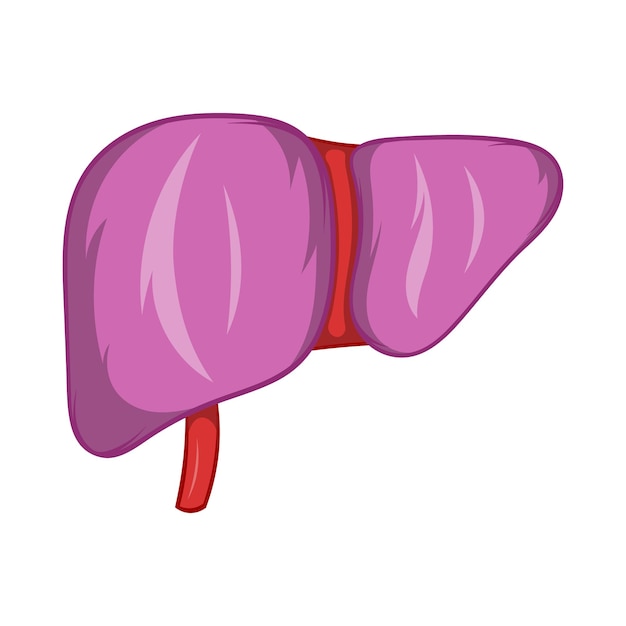カートゥーンスタイルの肝臓のアイコンが白い背景に隔離されています 人間の臓器のシンボル