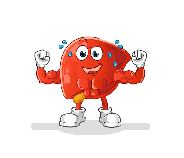 Liver muscular cartoon cartoon mascot vector