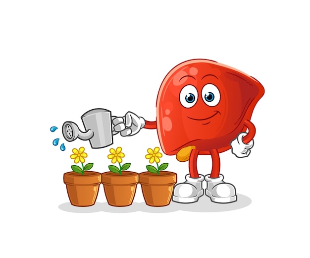 Liver watering the flowers mascot cartoon vector