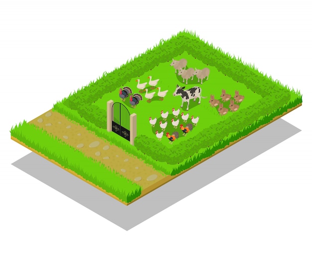 Livestock concept scene