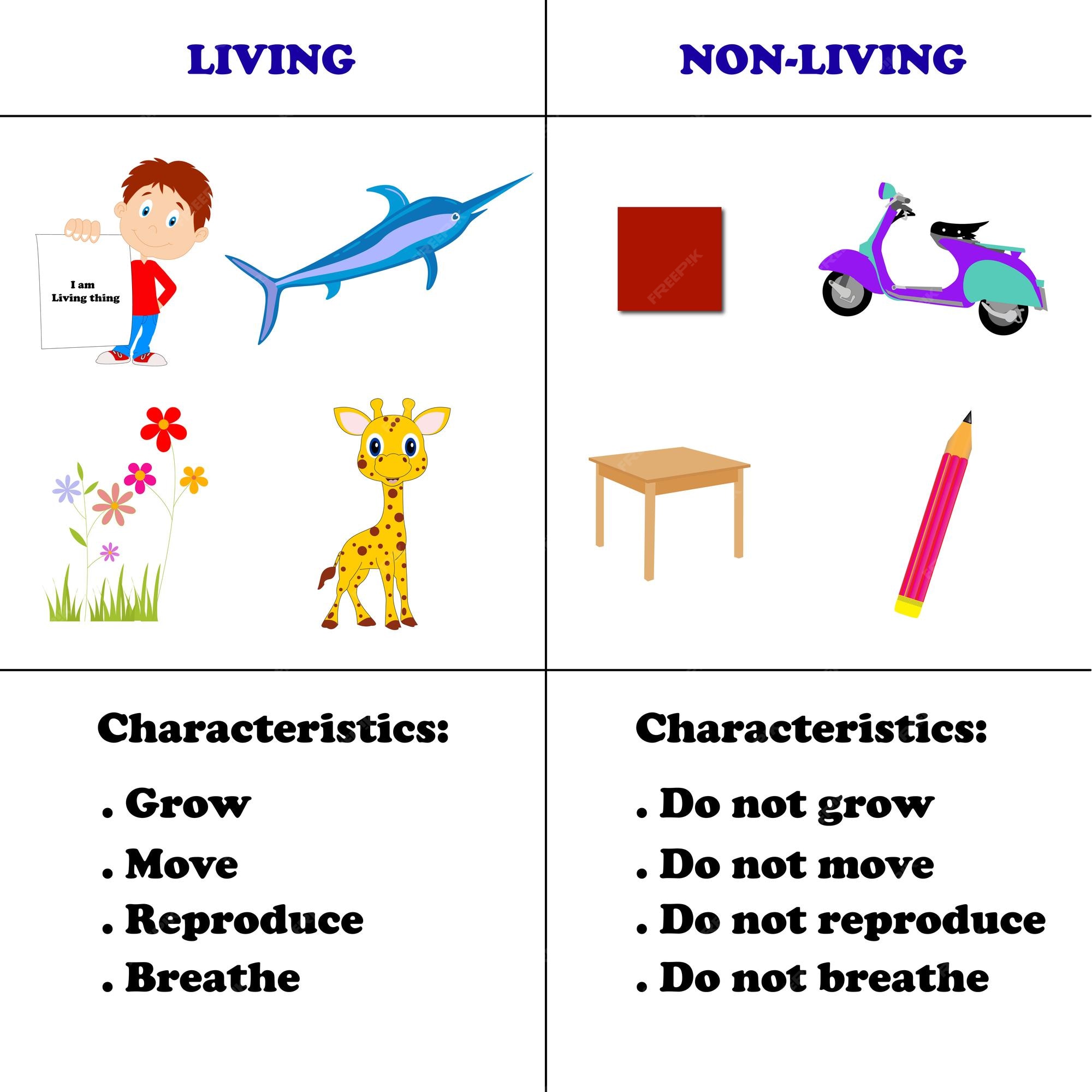 Living and Non Living Things - Characteristics & Examples