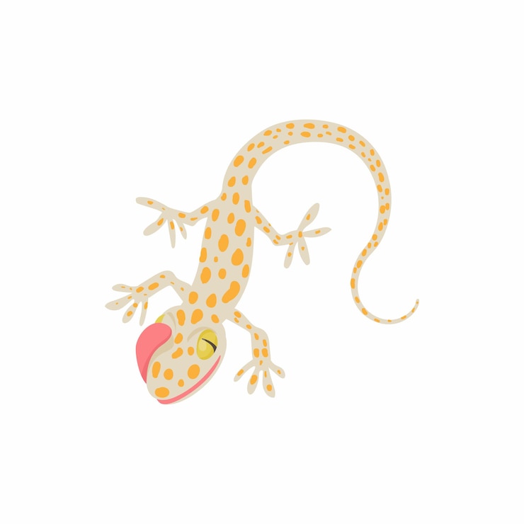 Vector lizard icon in cartoon style isolated on white background