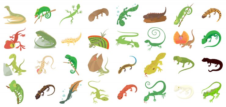 Vector lizard icon set