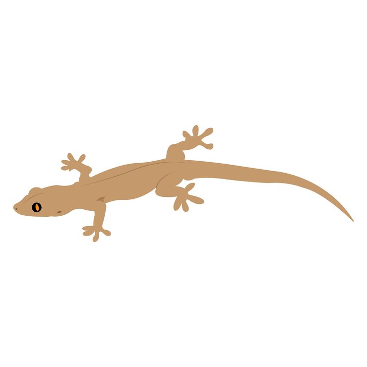 Vector lizard icon vector illustration design template