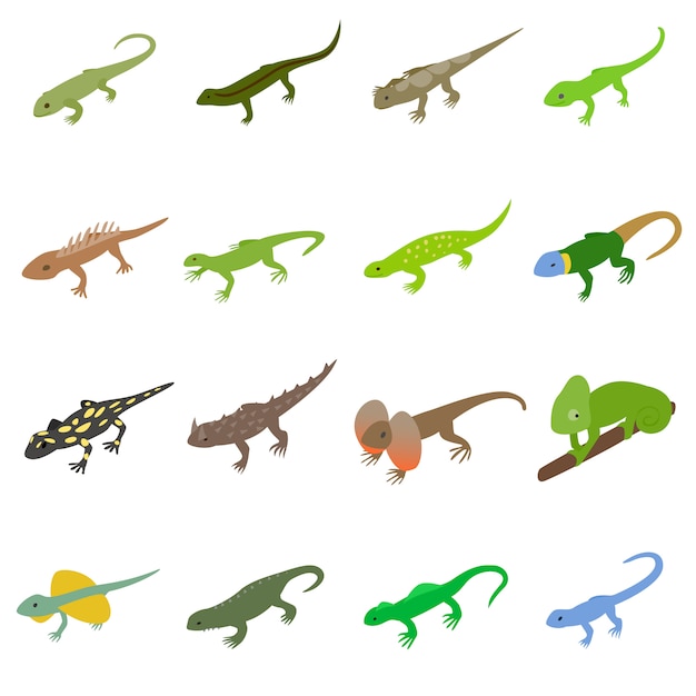 Lizard icons set