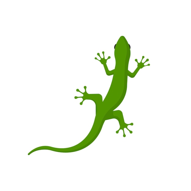 Lizard isolated on white background Vector illustration