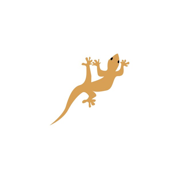 Lizard logo and vector template