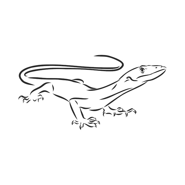 トカゲ爬虫類線画手描きベクトルタトゥースケッチインクイラスト白地に