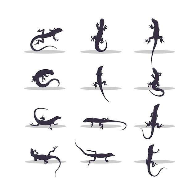 Lizard silhouette vector illustration design