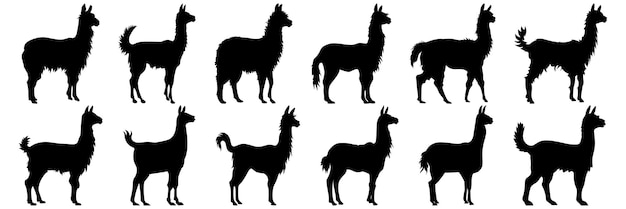 Llama alpaca silhouettes set large pack of vector silhouette design isolated white background