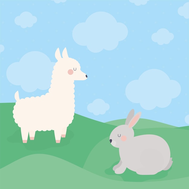 라마와 토끼