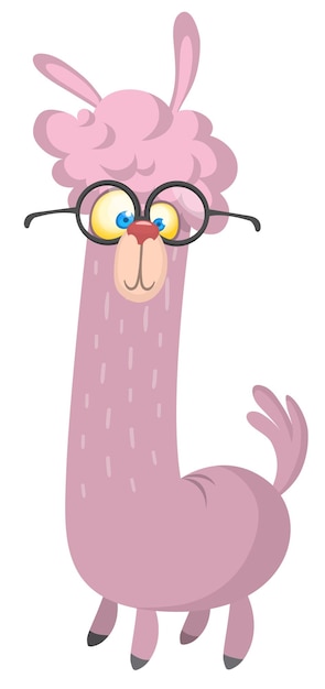 Llama cartoon alpaca Lama animal vector isolated illustration