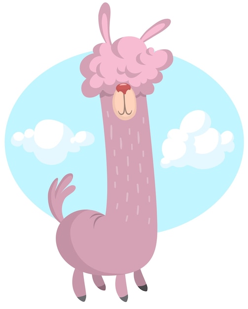 Vector llama cartoon alpaca lama animal vector isolated illustration