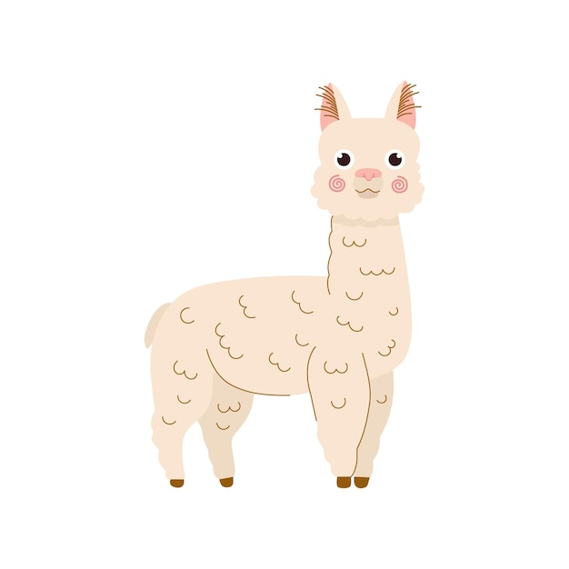 Illustrazione del fumetto di lama illustrazione vettoriale di alpaca isolata