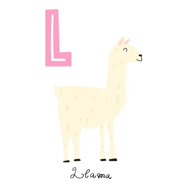 Llama. Flat hand drawn illustration on white background.