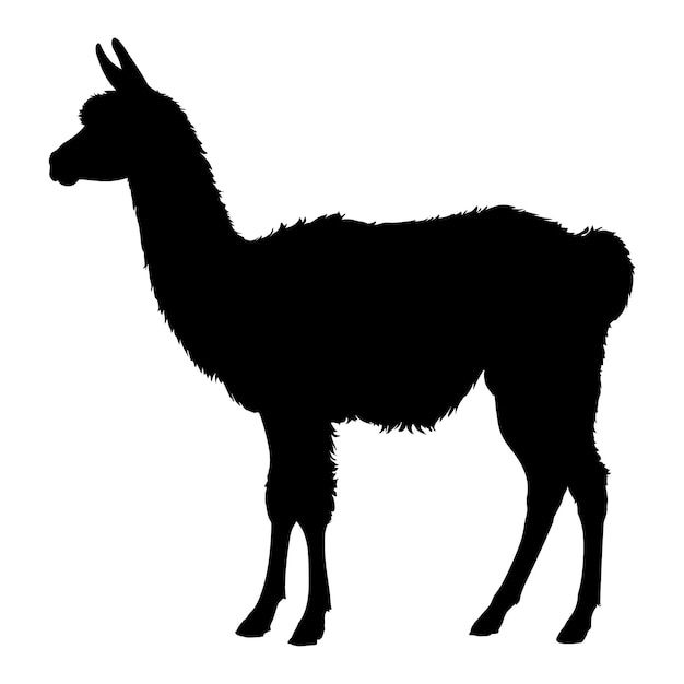 llama silhouette on white