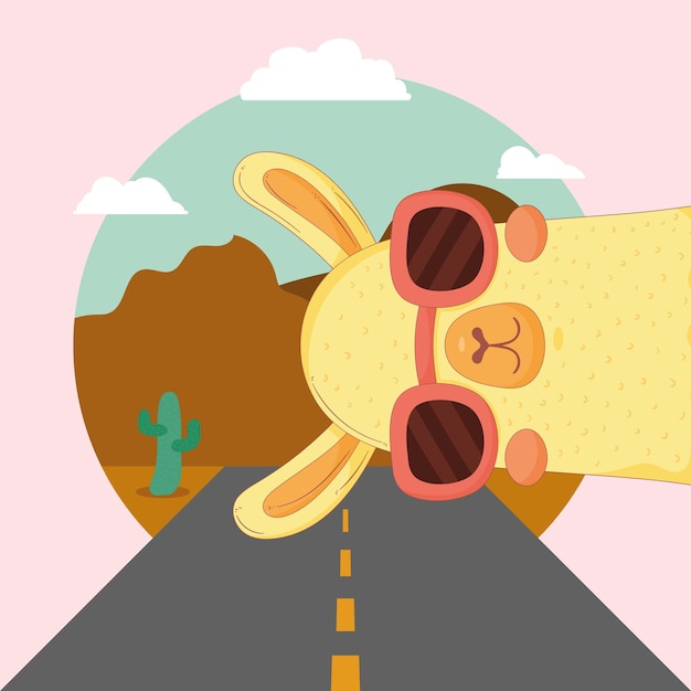 Vector llama with sunglasses in the road