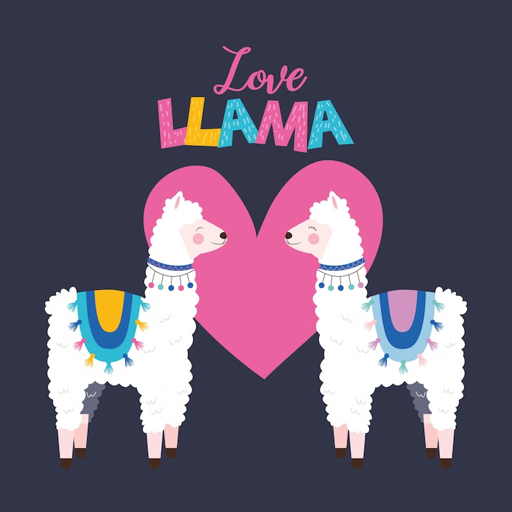 Vector llamas couple illustration
