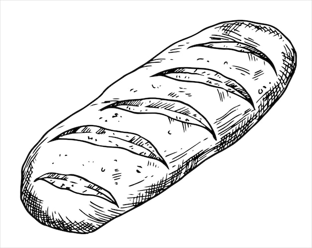 Vector loaf of bread vector drawing in sketch style