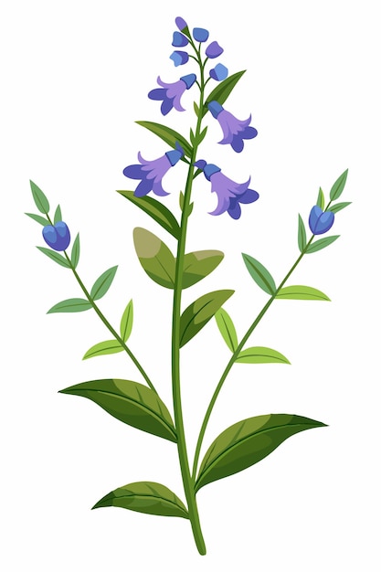 Lobelia-tak met bloemen Vectorillustratie op witte achtergrond Botanisch kunstontwerp