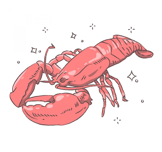 Vector lobster doodle illustration