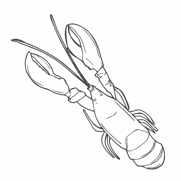 Vector lobster hand drawn outline doodle icon