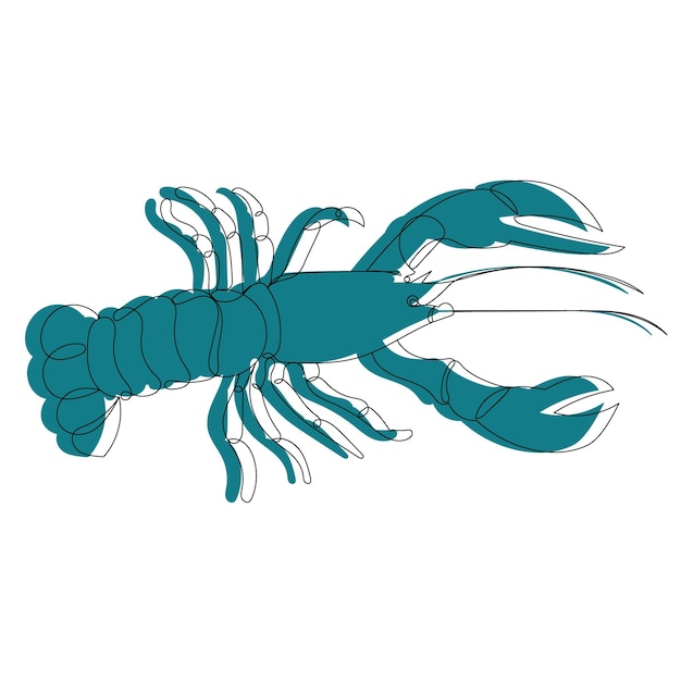 Vector lobster sketch, isolated, on white background