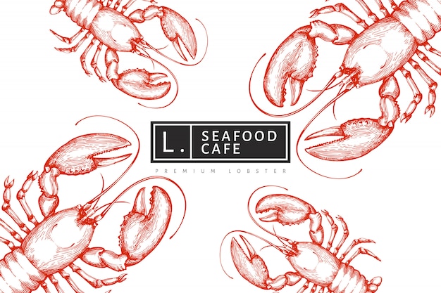 Lobster  template. hand drawn  seafood illustration. engraved style. vintage sea animal background