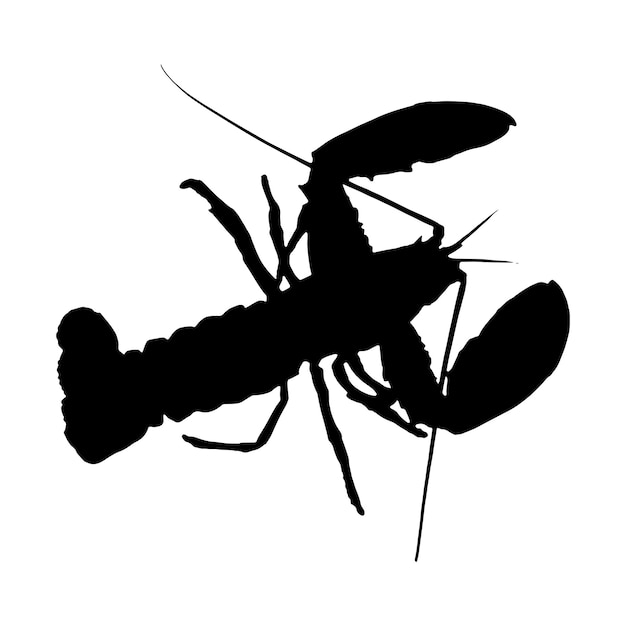 Lobster vector black white silhouette