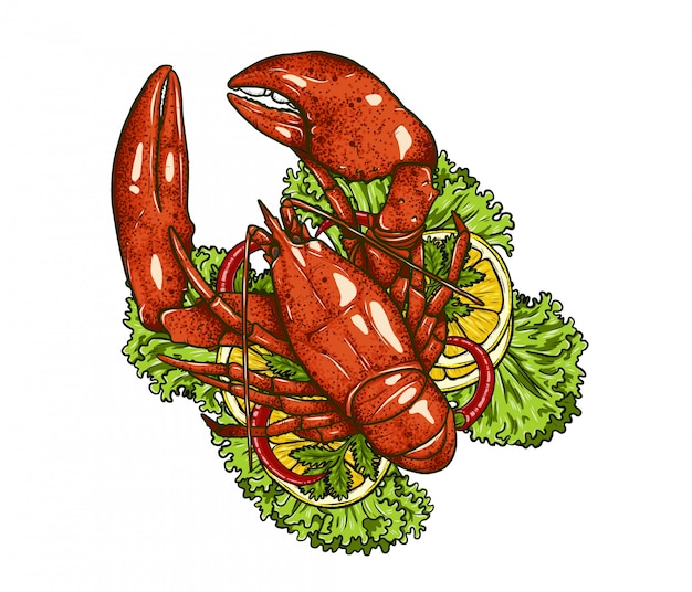 Vector lobster with vegetable on white