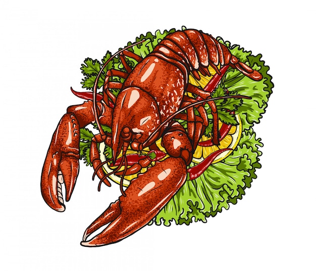 Vector lobster with vegetable on white