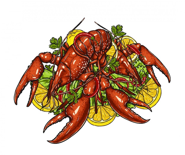 Vector lobster with vegetable on white