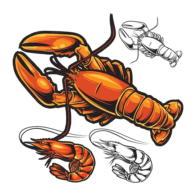 Vector lobster